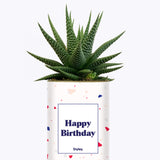 Happy Birthday - Cactus