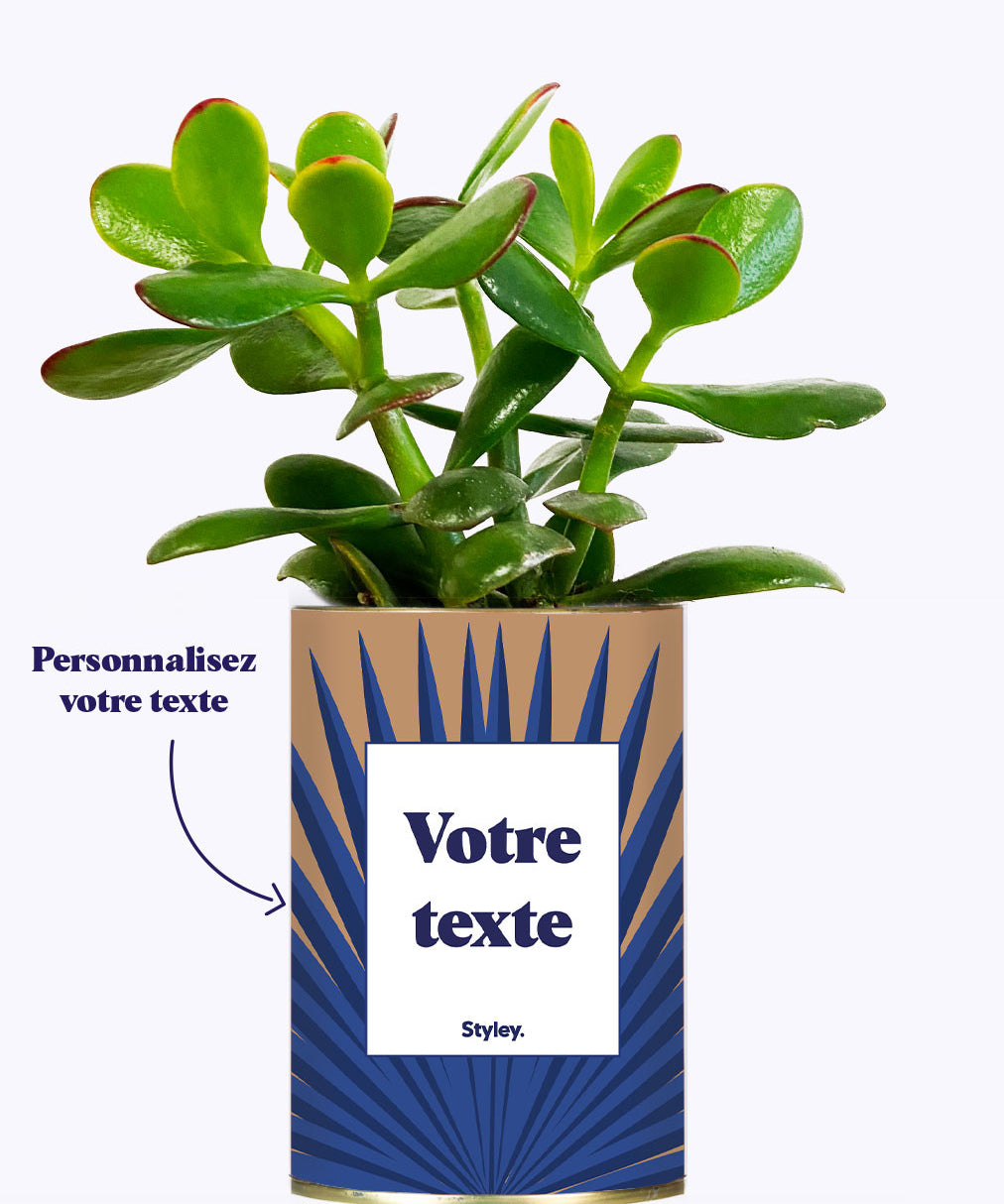 Grande Palme - Plante personnalisable
