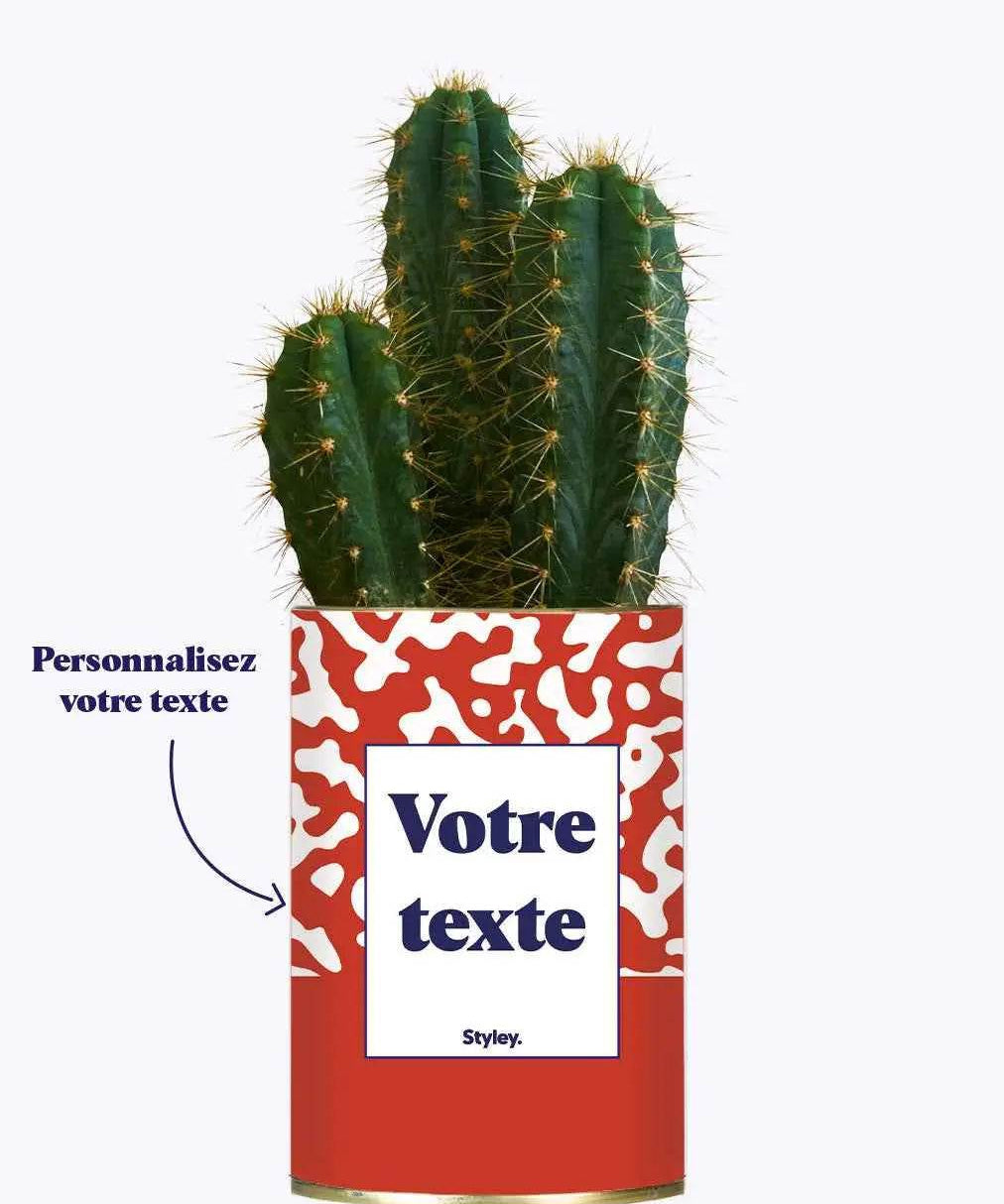 Pattern rouge - Plante personnalisable Cactus varié