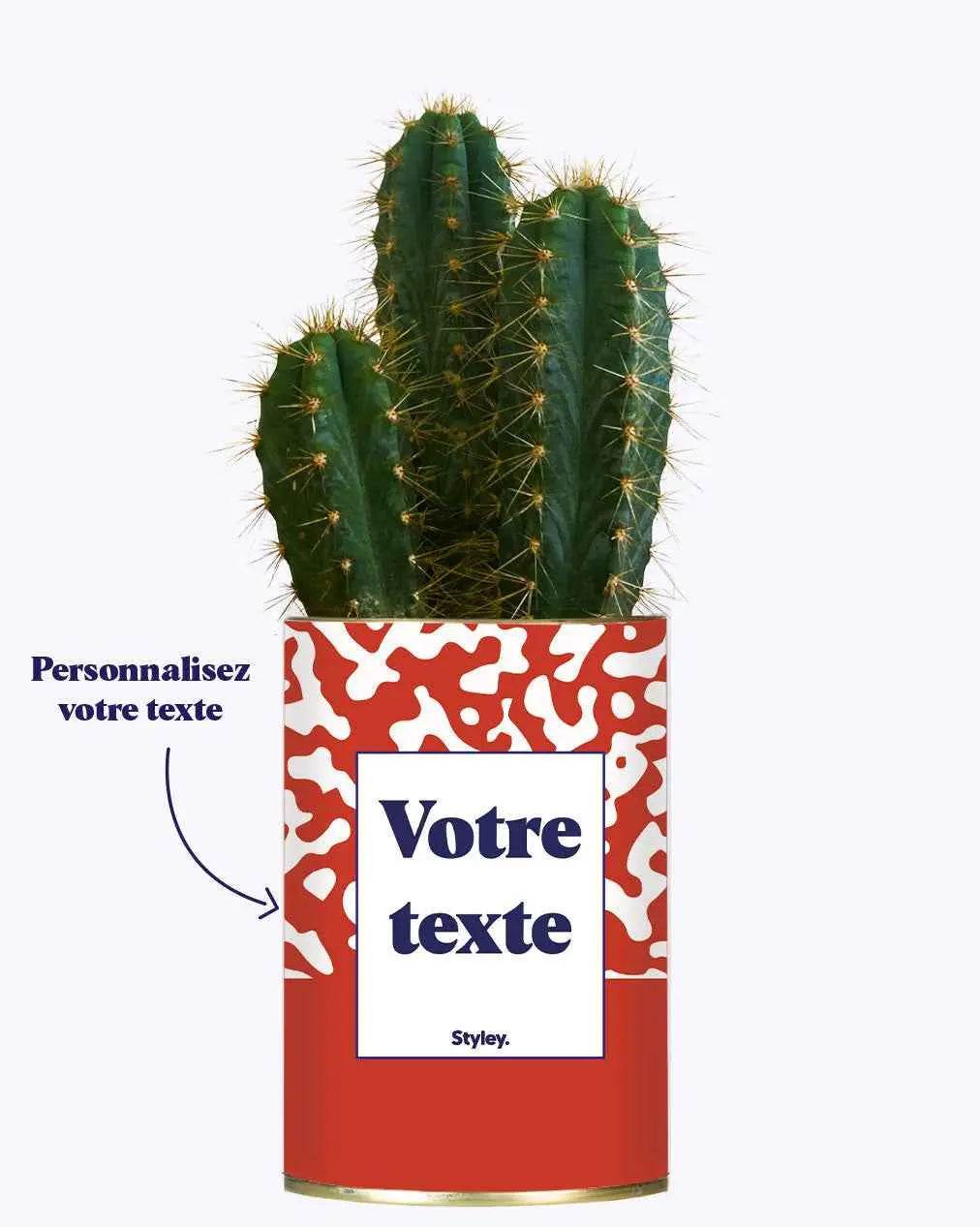 Pattern rouge - Plante personnalisable Cactus varié