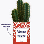 Pattern rouge - Plante personnalisable Cactus varié