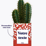 Pattern rouge - Plante personnalisable Cactus varié