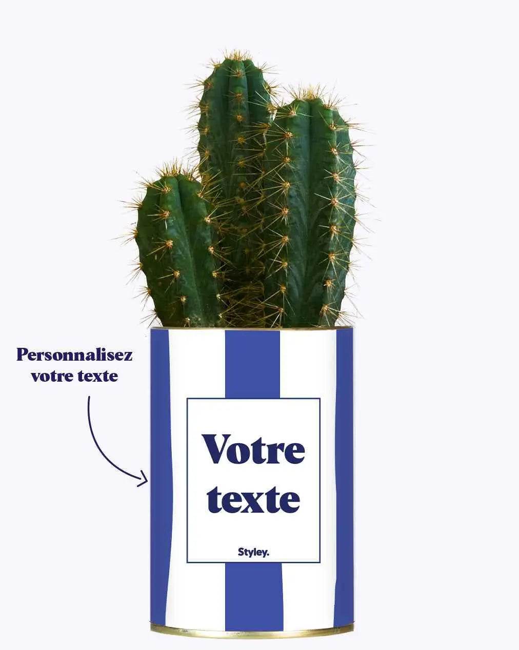 Rayures bleues - Plante personnalisable Cactus varié