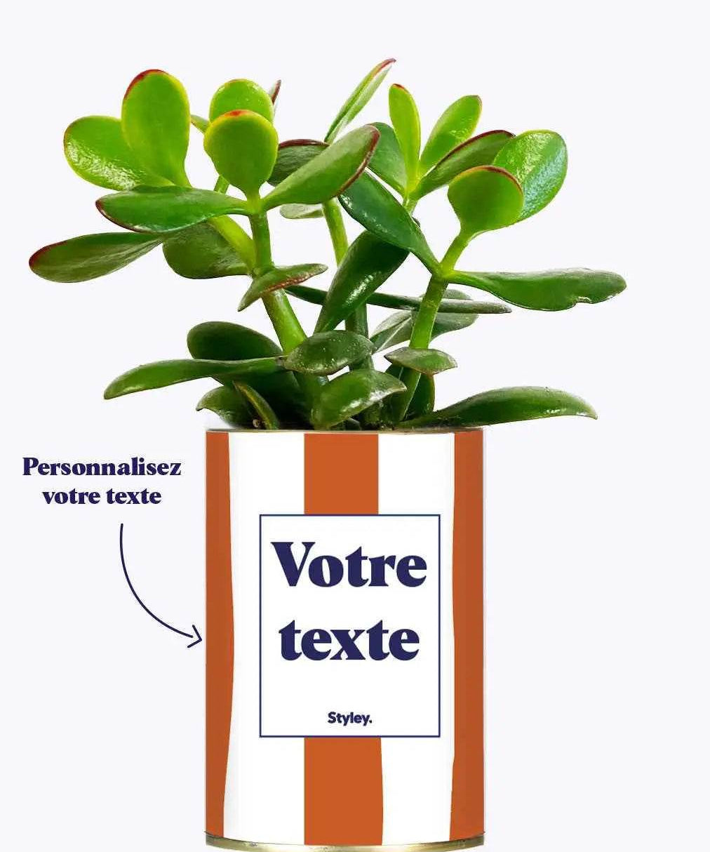 Rayures Terracotta - Plante personnalisable