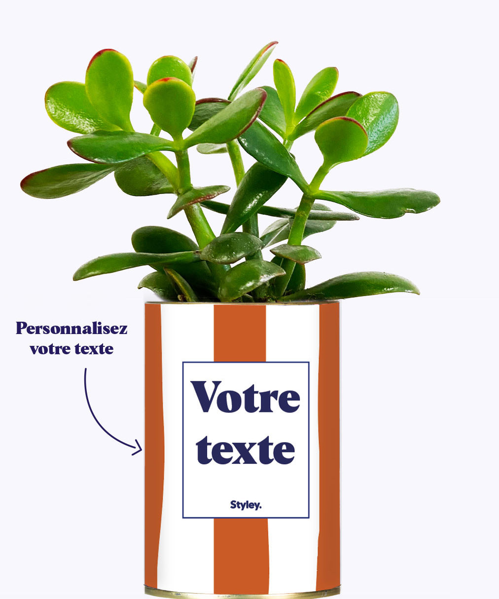 Rayures Terracotta - Plante personnalisable