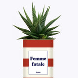 Femme fatale - Plante