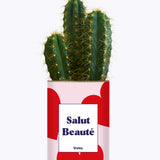 Salut beauté - Plante