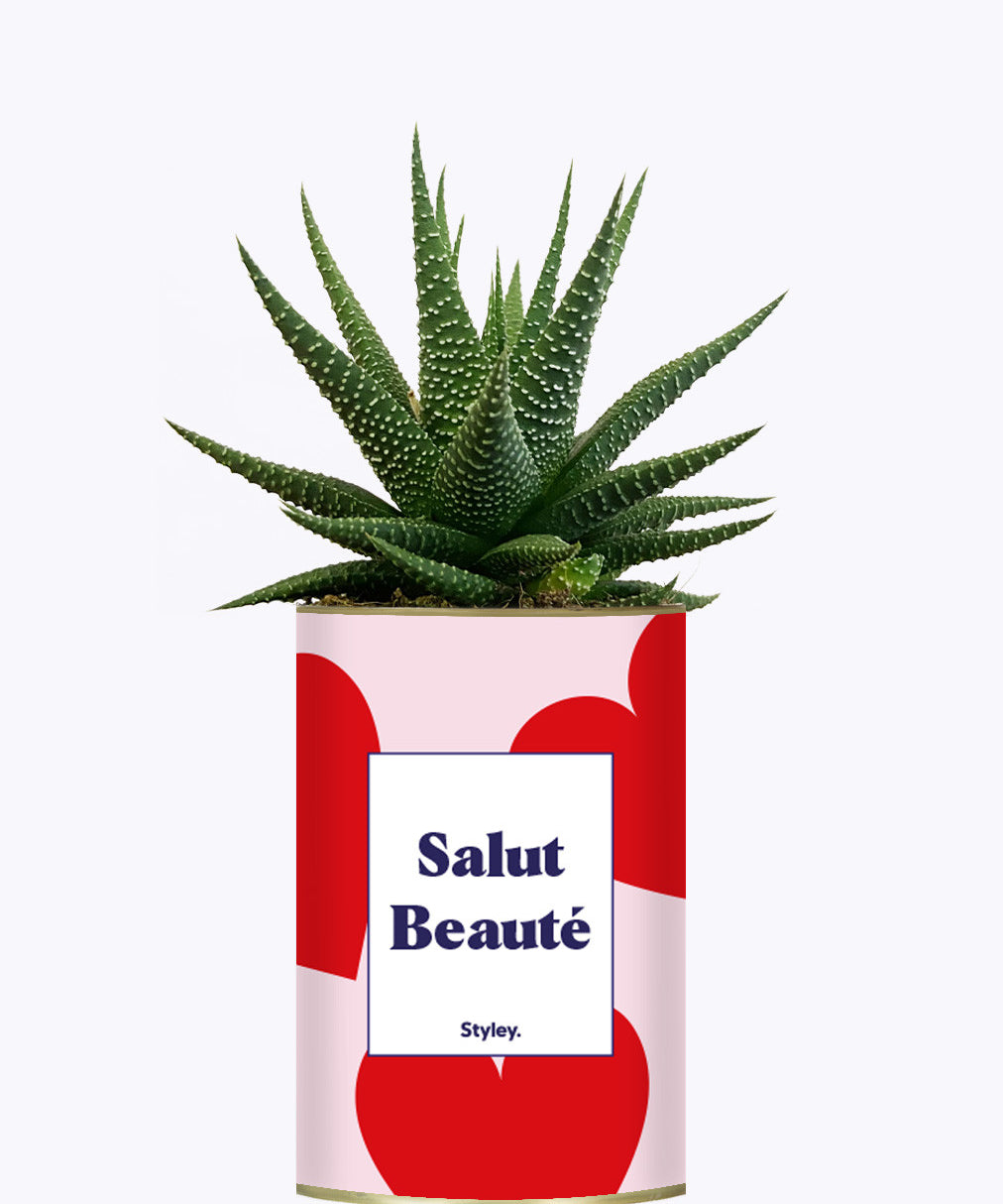 Salut beauté - Plante