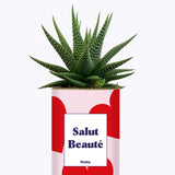 Salut beauté - Plante