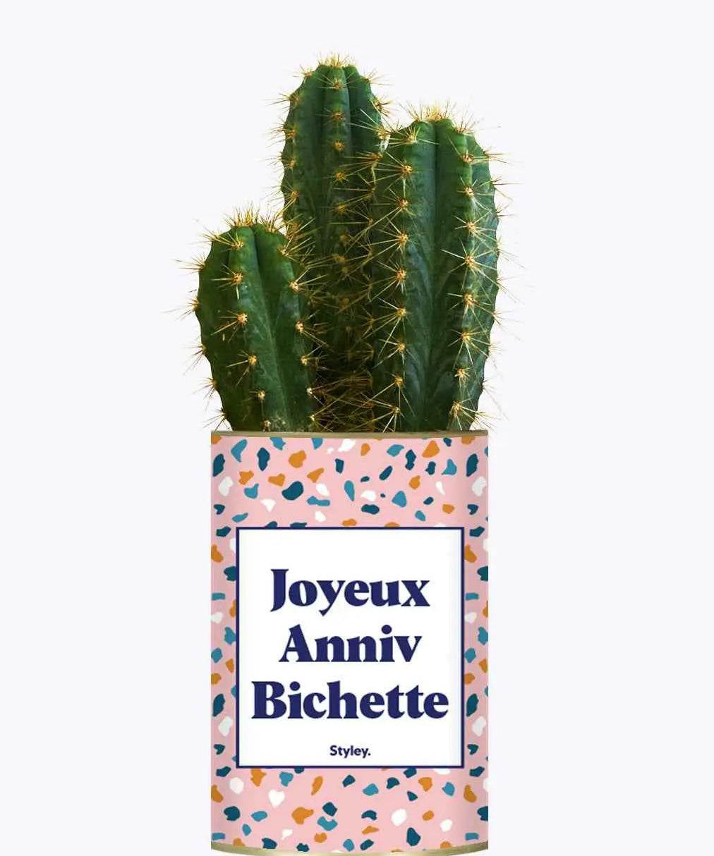 Joyeux anniv bichette - Plante Cactus varié