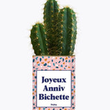 Joyeux anniv bichette - Plante Cactus varié