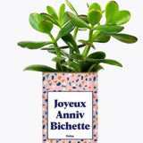 Joyeux anniv bichette - Plante Crassula varié