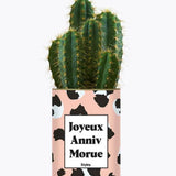 Joyeux anniv morue - Plante Cactus varié