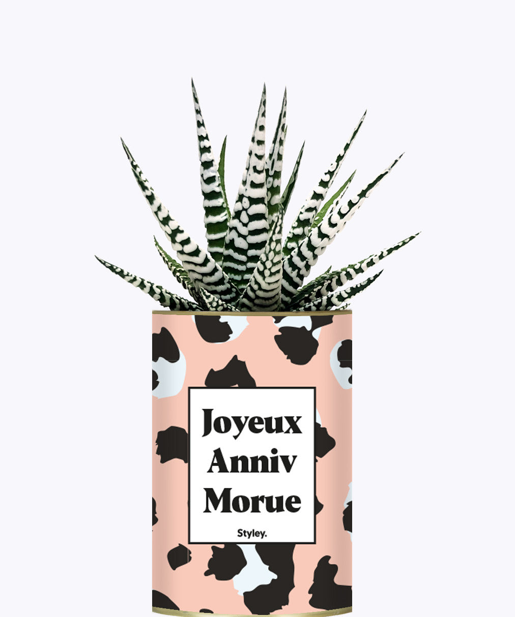 Joyeux anniv morue - Plante
