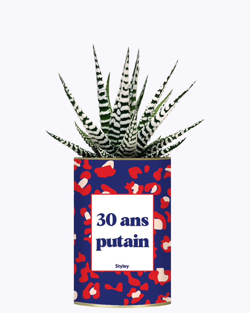 30 ans putain - Plante