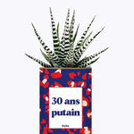 30 ans putain - Plante