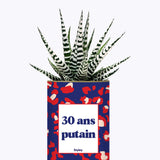 30 ans putain - Plante