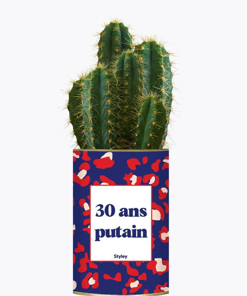 30 ans putain - Plante Cactus varié