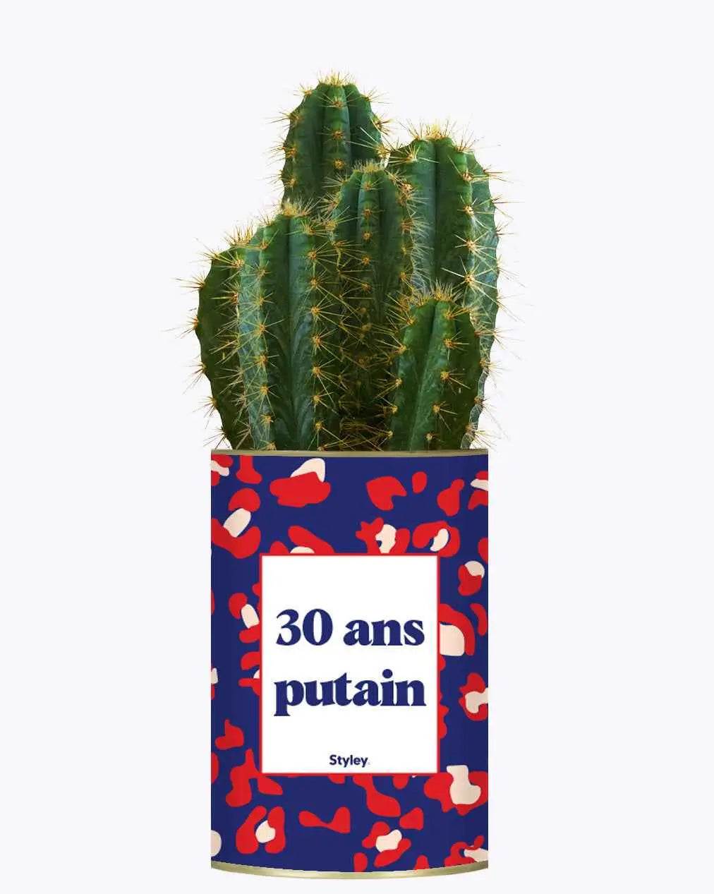 30 ans putain - Plante Cactus varié