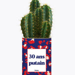 30 ans putain - Plante Cactus varié