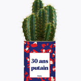 30 ans putain - Plante Cactus varié