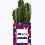 30 ans putain - Plante