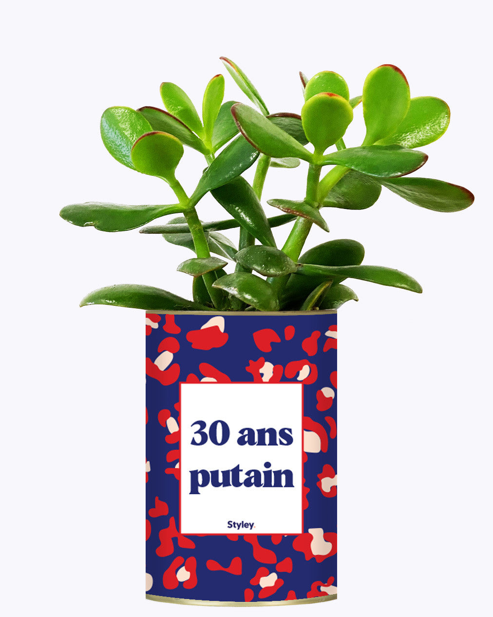 30 ans putain - Plante