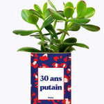 30 ans putain - Plante