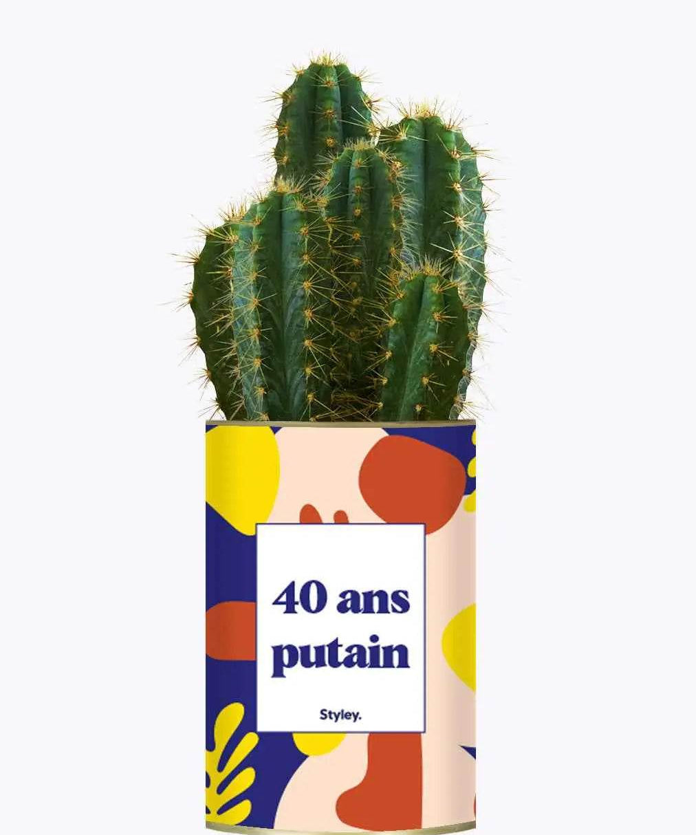 40 ans putain - Plante Cactus varié