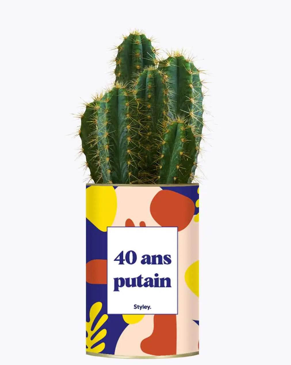 40 ans putain - Plante Cactus varié
