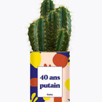 40 ans putain - Plante Cactus varié