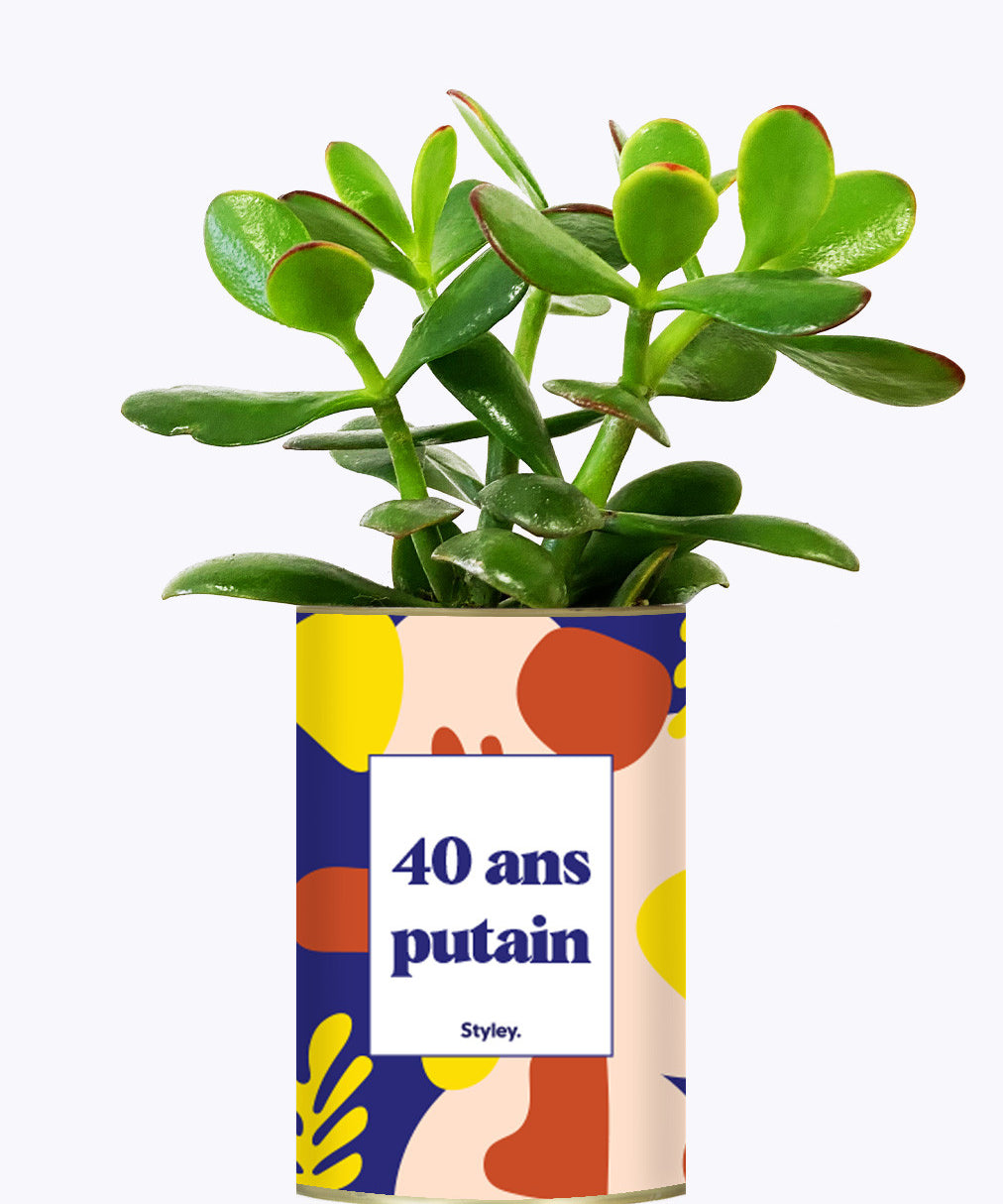 40 ans putain - Plante