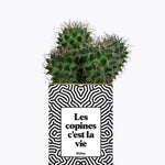 Les copines c'est la vie - Plante Cactus varié