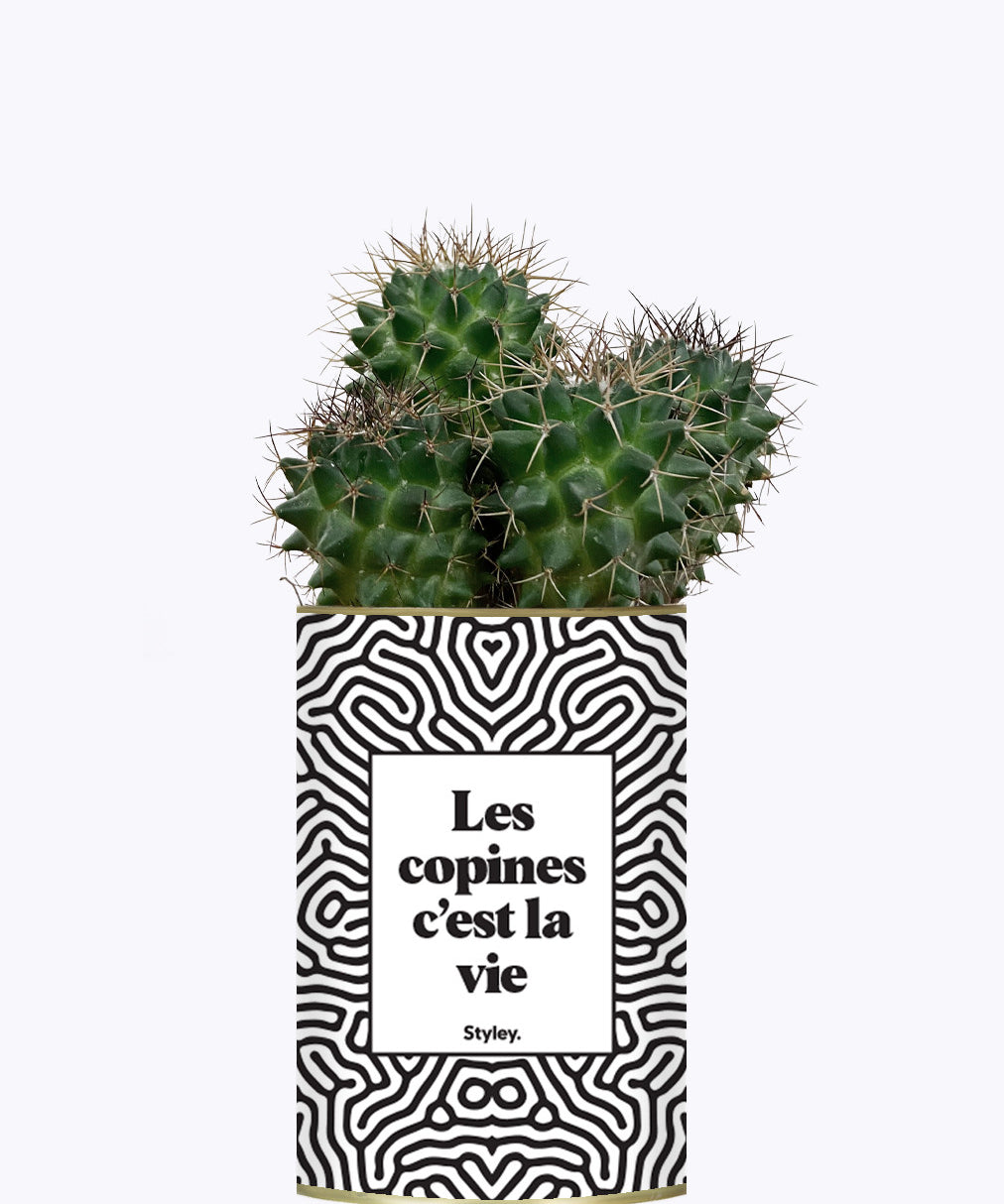 Les copines c'est la vie - Plante