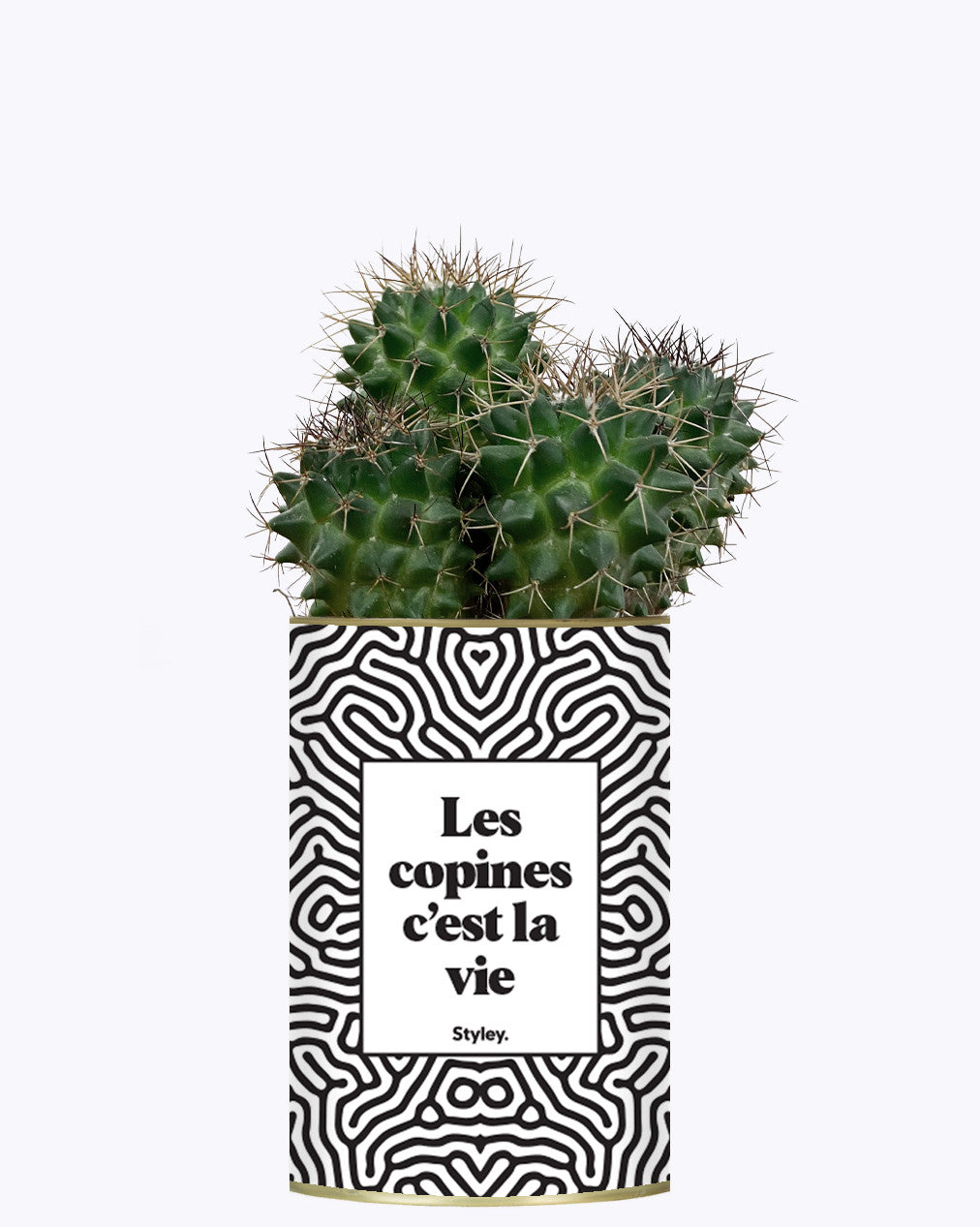 Les copines c'est la vie - Plante