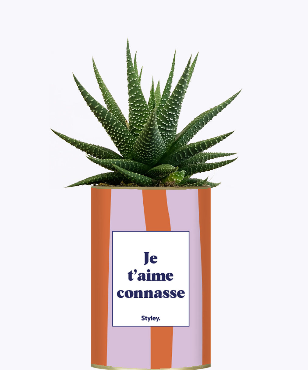Je t'aime connasse - Plante