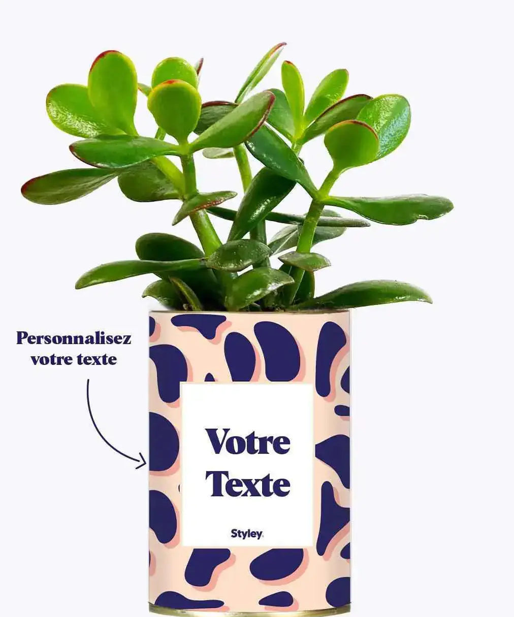 Cactus Léon - Personnalisable