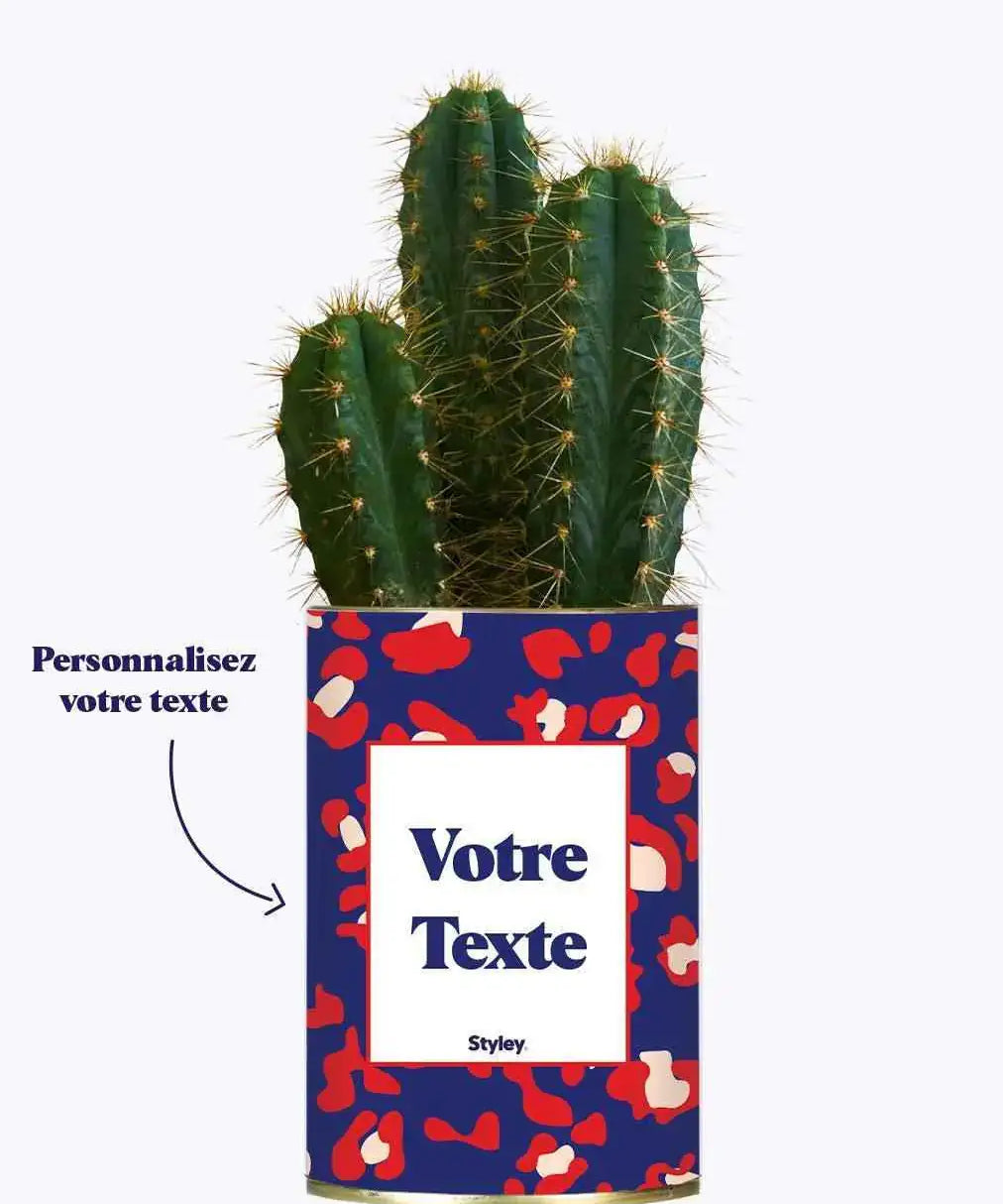 Cactus Lison - Personnalisable