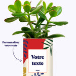 Tropical personnalisable - Cactus