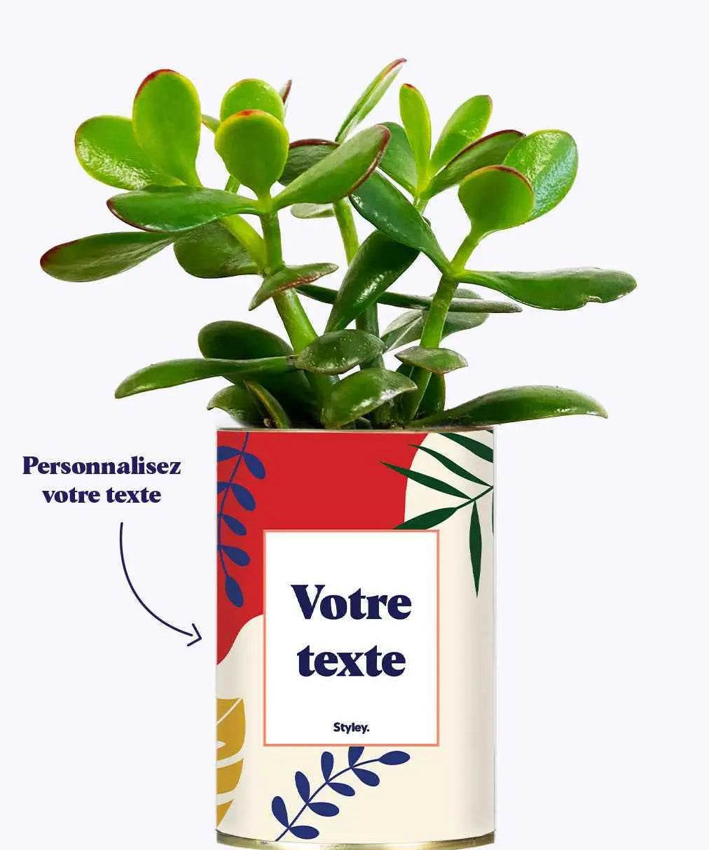 Tropical - Plante Personnalisable
