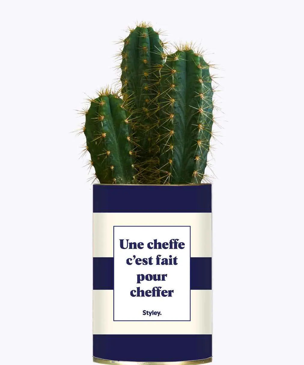 Une cheffe c'est fait pour cheffer - Plante
