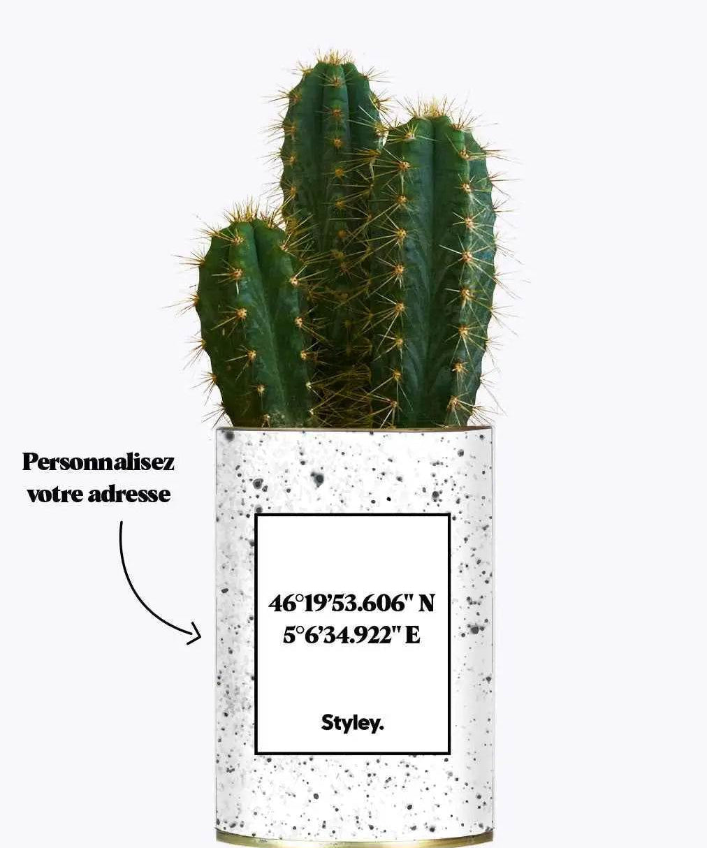 Coordonnées personnalisables - Plante Cactus varié