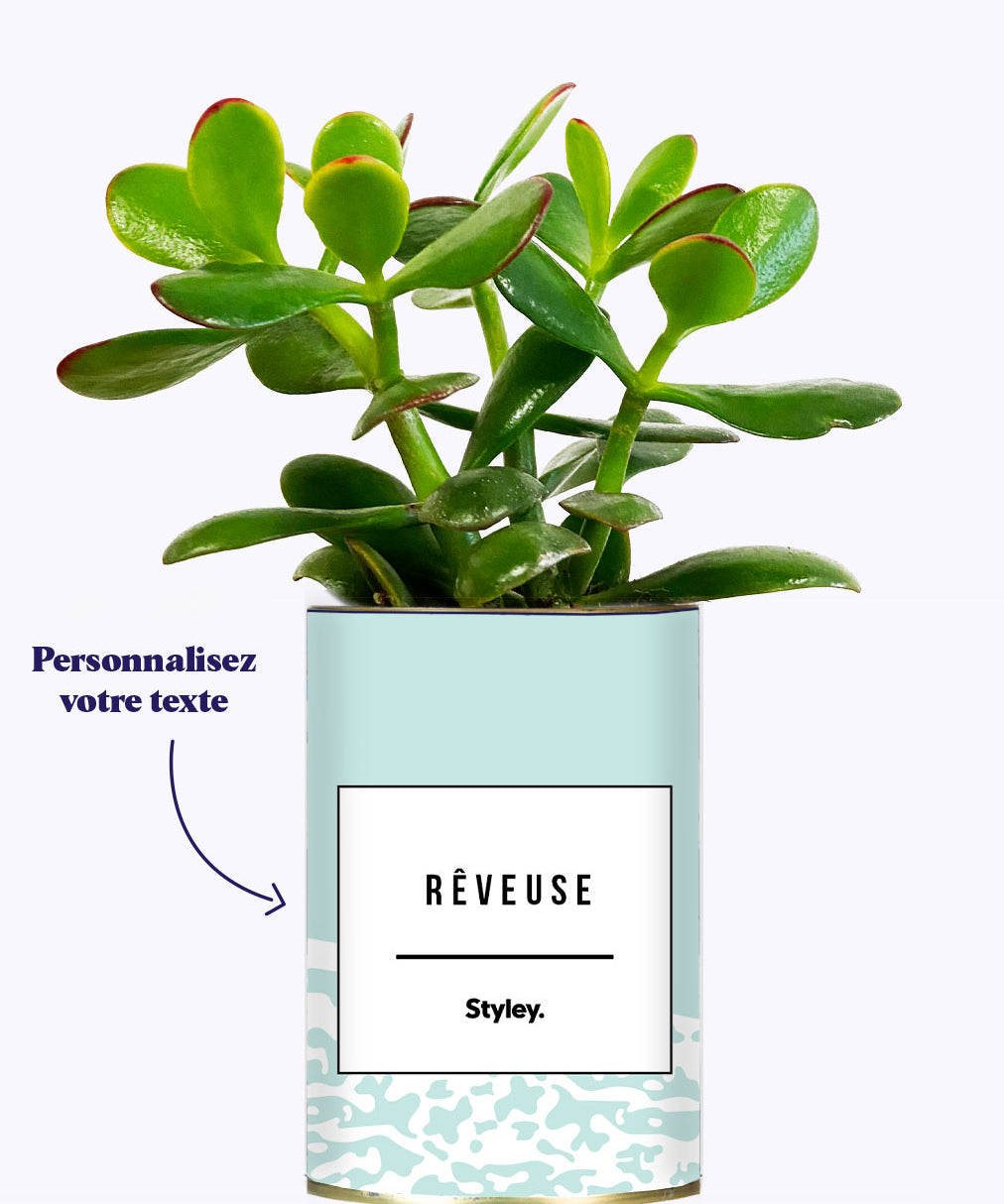 Adjectif personnalisable bleu - Cactus