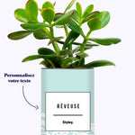 Adjectif personnalisable bleu - Cactus