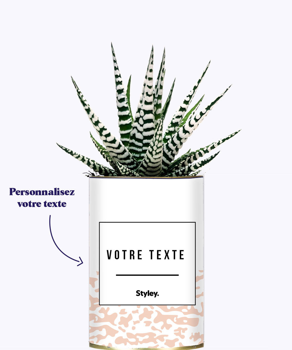 Adjectif personnalisable rose - Cactus