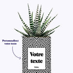 Cactus Nuance - Personnalisable
