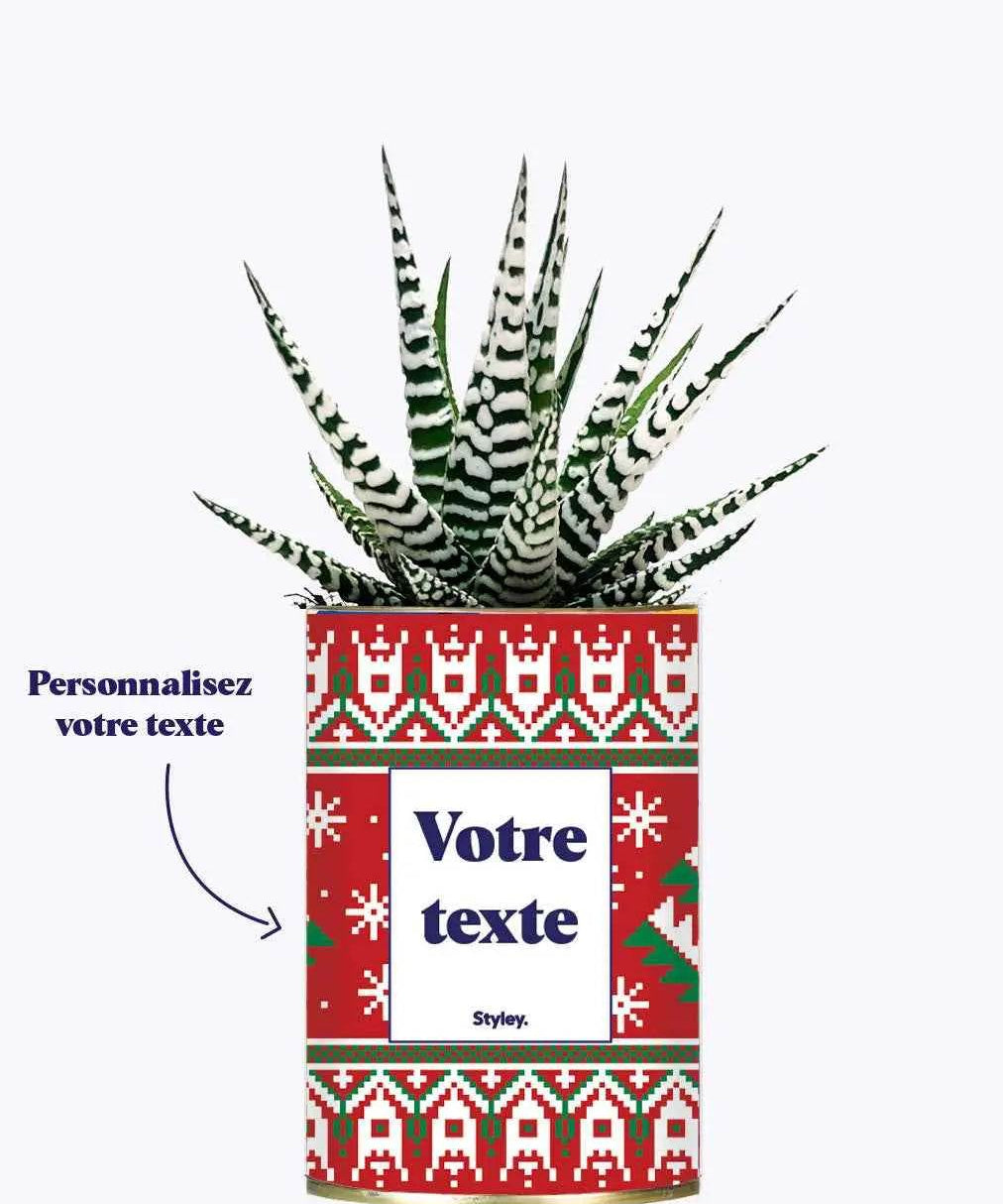 Mon cactus moche de Noël personnalisable - Plante Haworthia varié