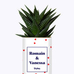 Plante Coup de foudre personnalisable - Cactus