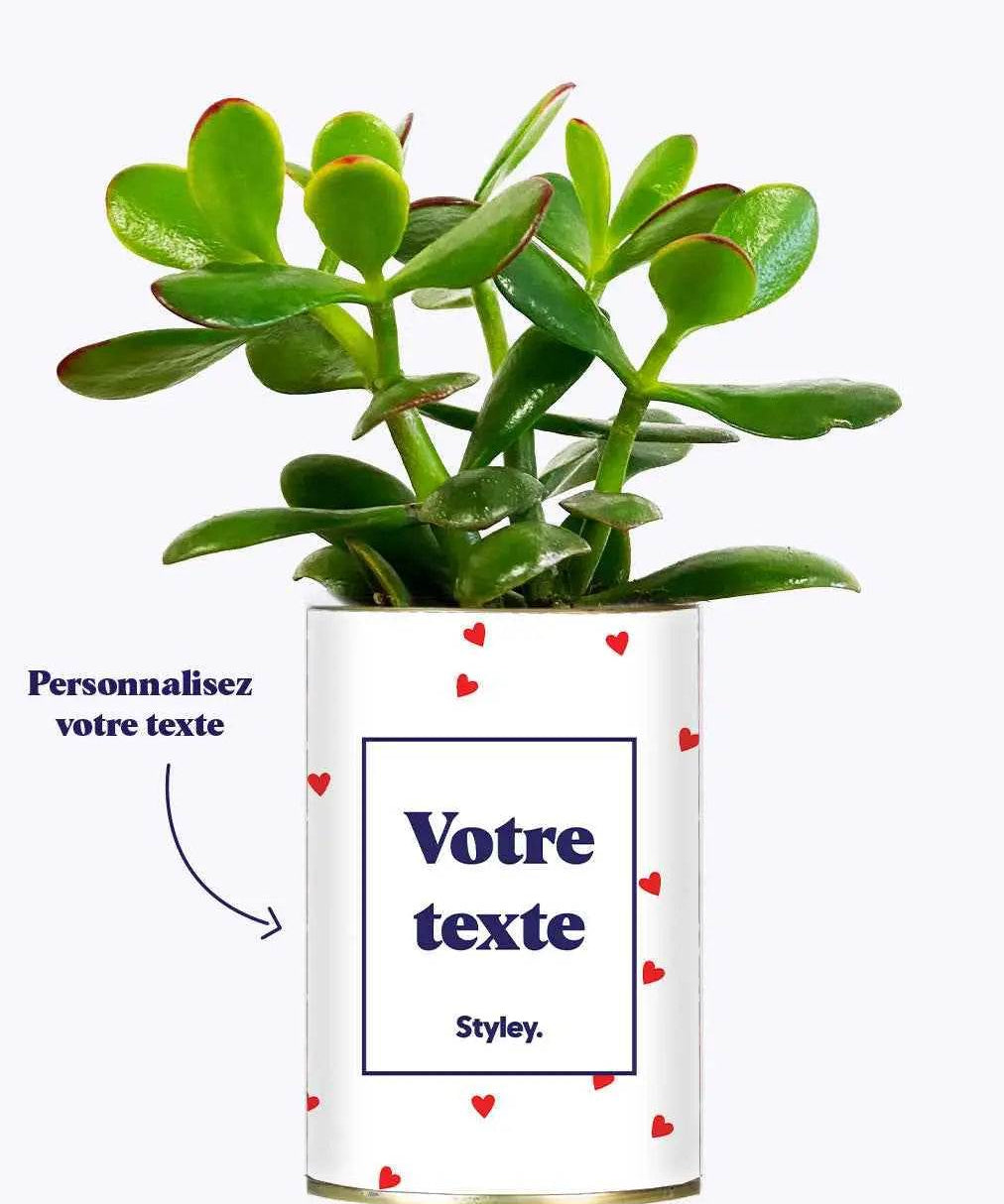 Plante Coup de foudre personnalisable - Cactus