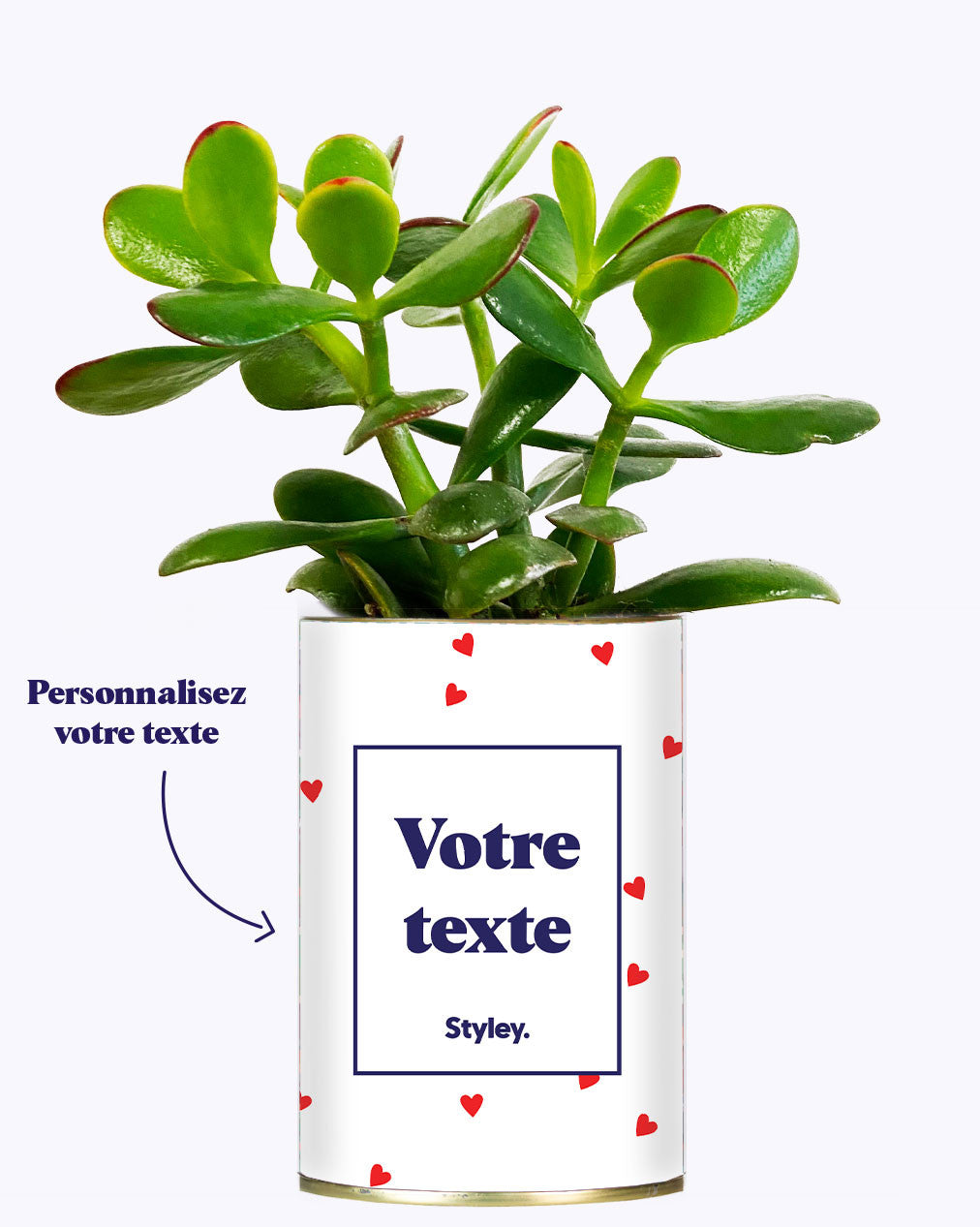 Plante Coup de foudre personnalisable - Cactus